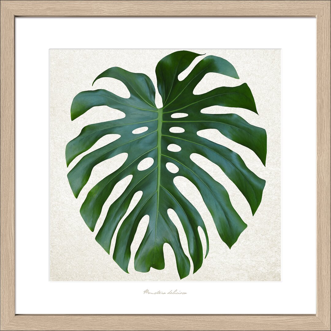 Gerahmtes Poster Green Leaf