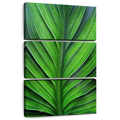 Harnek Leaf Lines