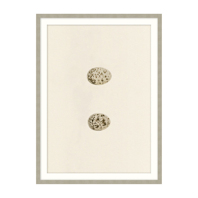 Unhatched 4 Illustration by Studio L57 Nouvelle, 26" H x 20" W