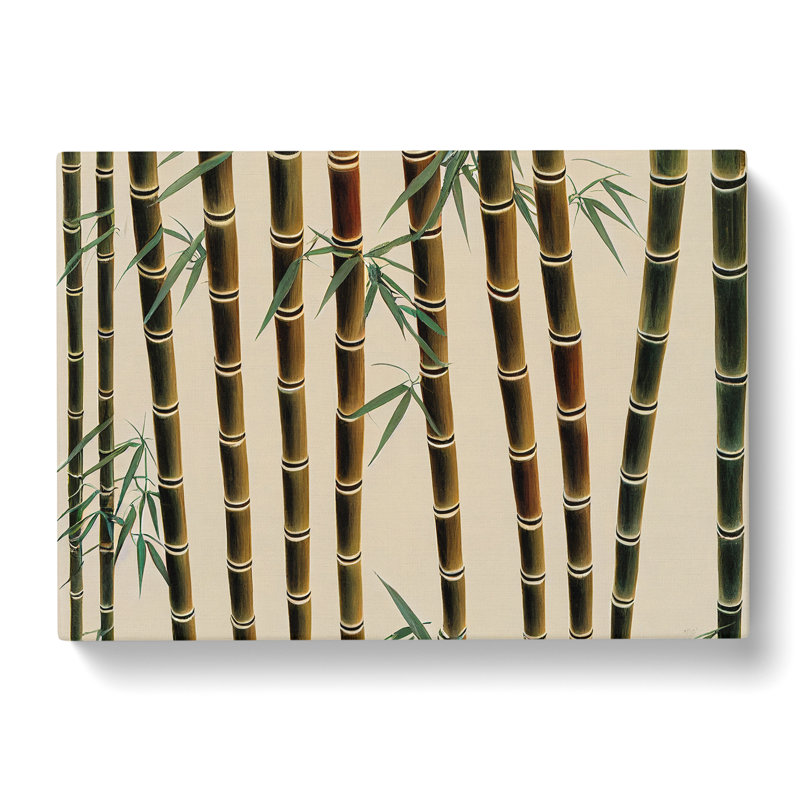 Enthralling Bamboo Forest - Wrapped Canvas, 40cm H x 60cm W x 3cm D