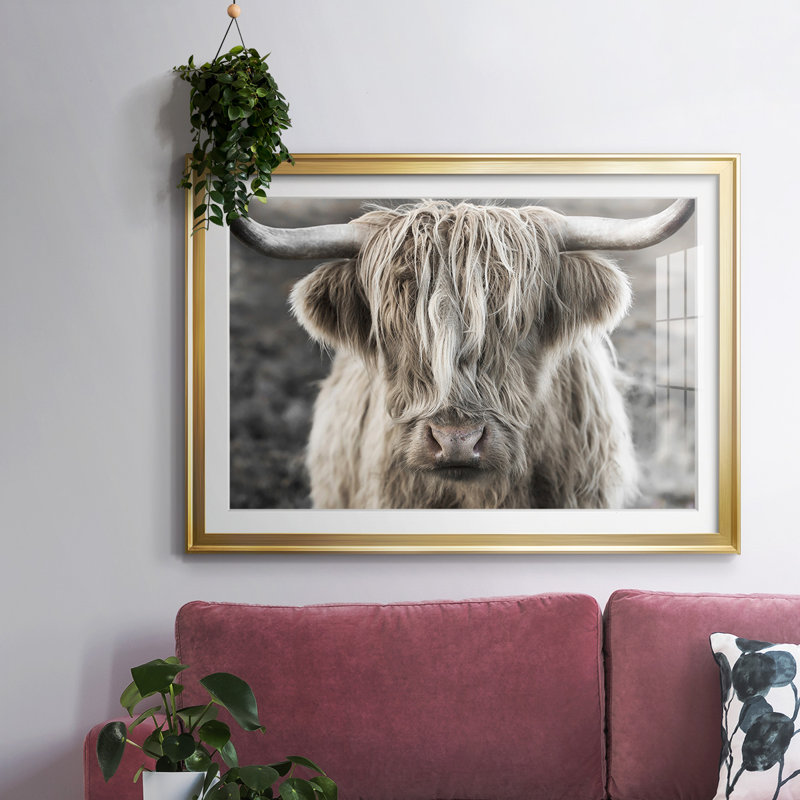 Highland Skye, reproduction d'art encadrée, H 15 po x l 21 po x P 1,5 po, Or