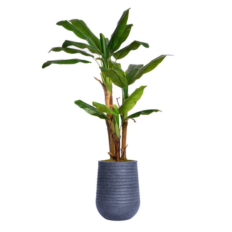 Bananier artificiel 72,08 po en pot, Noir