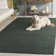 Doleman Indoor Rug