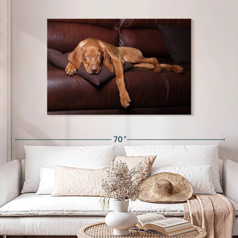Brampt Sleeping Vizla Dog, 8" H x 12" W