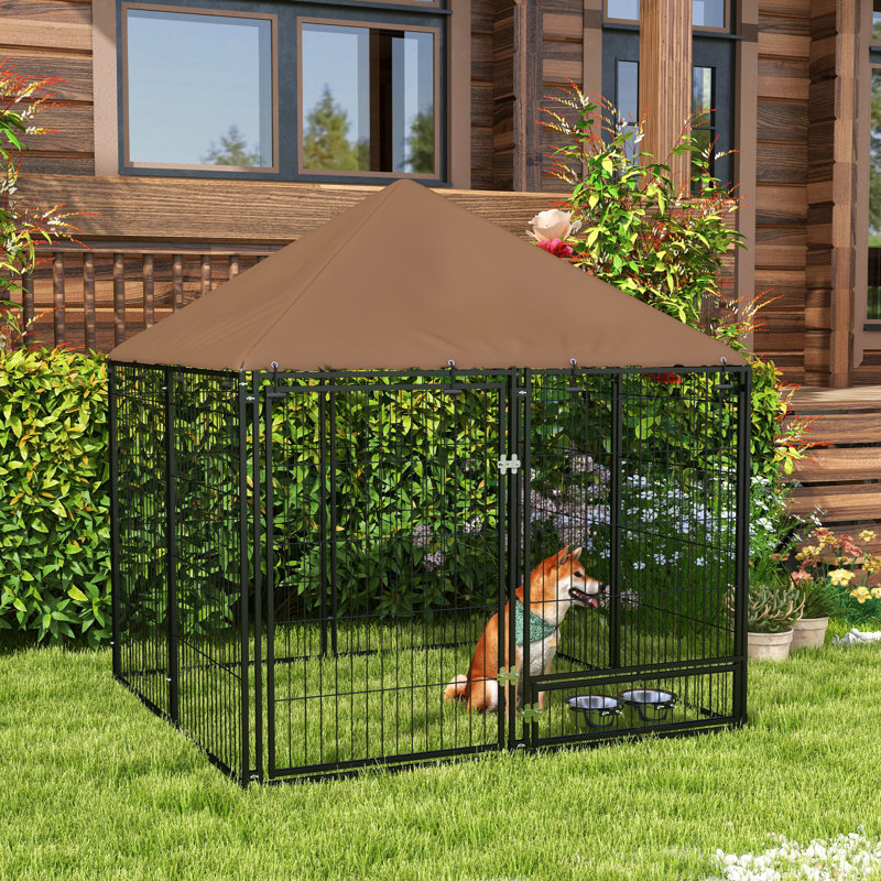 Outside Dog Kennel