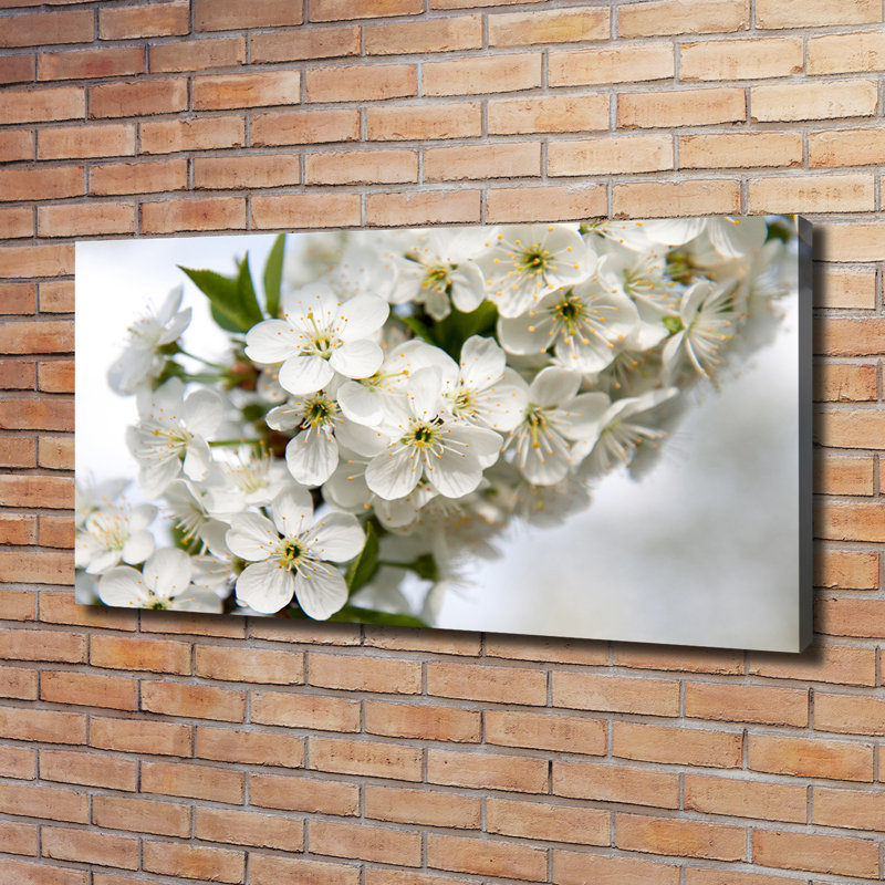 Cherry Blossoms - Wrapped Canvas Print
