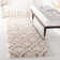 Darrold Hudson Shag Performance Geometric Rug