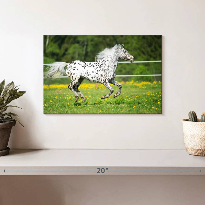 Corbeau cheval Appaloosa, H 8 po x l 12 po