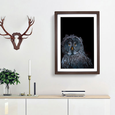 Great Grey Owl in Abstract - Picture Frame Graphic Art Print