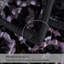 Couverture épaisse Lavender11141012-433976587