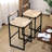 Vanwagoner Of 2 With Backrest And Footrest, Metal Frame
