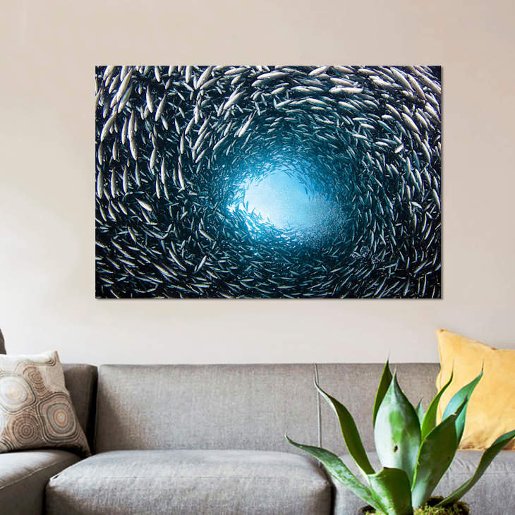 A School Of Black Striped Salema Fish, Endemic To Galapagos Islands, Ecuador by VWPics - Unframed Graphic Art on Canvas