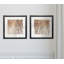 « sunlit bouleau i », ensemble de 2 reproductions encadrées-1379600788