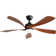 Damecia 52" 5 - Blade Smart Standard Ceiling Fan with Remote Control and LED Light