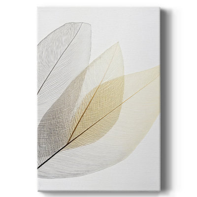 Floral LVI Gallery Wrapped Canvas - Ready To Hang