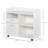 Zendeya 31.5'' Wide 2 -Drawer Mobile File Cabinet-105016158