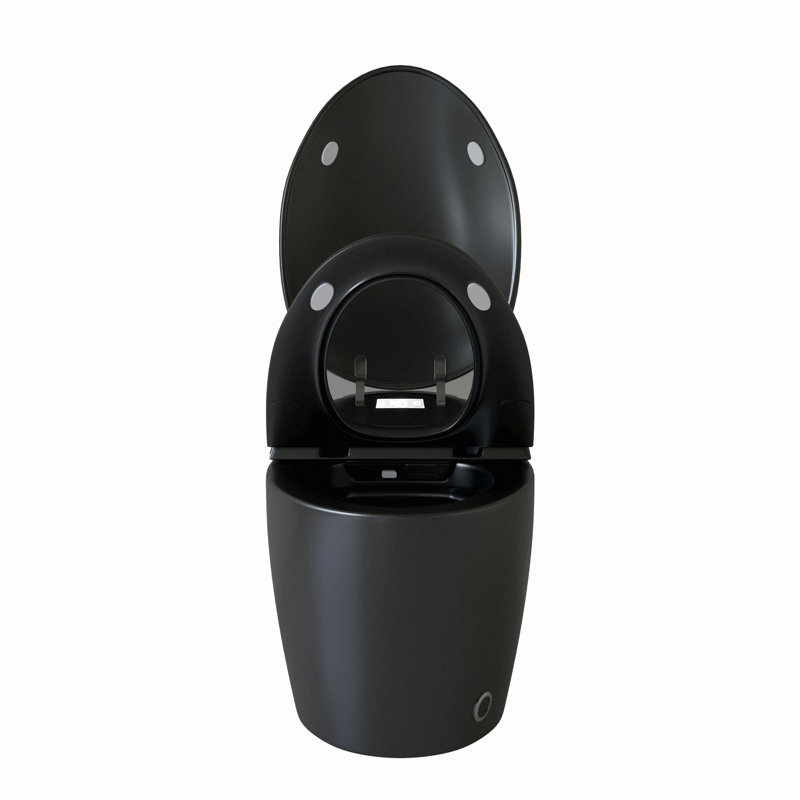 Toilettes intelligentes une pièce, céramique noire, caractéristiques modernes pour la maison