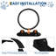 Cat Accessory-1927627765