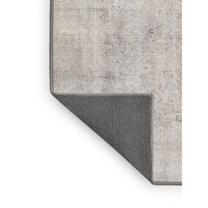 Erdenheim Performance Oriental Indoor Rug, Rectangle 4' x 6'