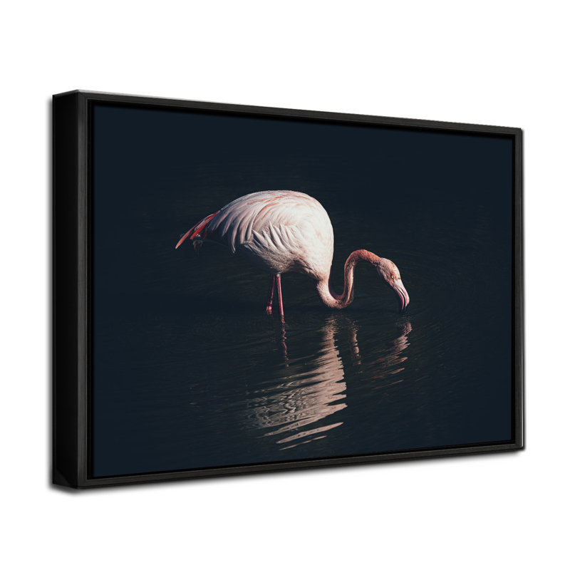 «Enlighted Flamingo», reproduction d'art encadrée par Marco Tagliarino, Papier avec cadre noir, H 8 po x l 12 po