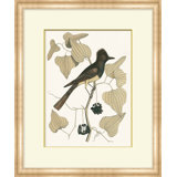 Summer Bird 8 Print