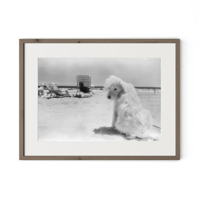 Lois At The Beach Framed Photographic Print