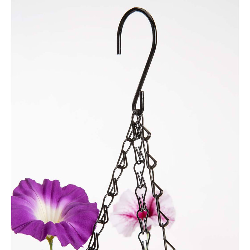 Pétunia mélangé dans un panier