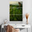 Gillard Mossy Vietnam Gillard-108605496