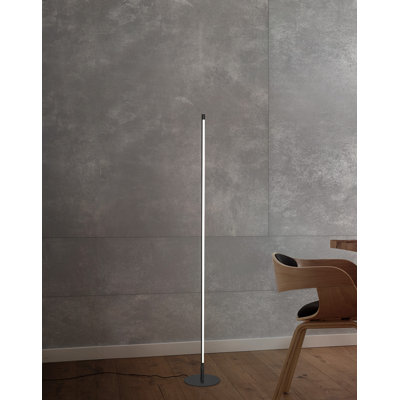 Amergin 150cm LED Novelty Floor Lamp