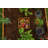Mezza Keyhole Composting Wood Raised Garden Bed-1250617155