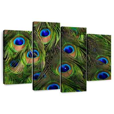 Plumes de paon soyeuses Brampt