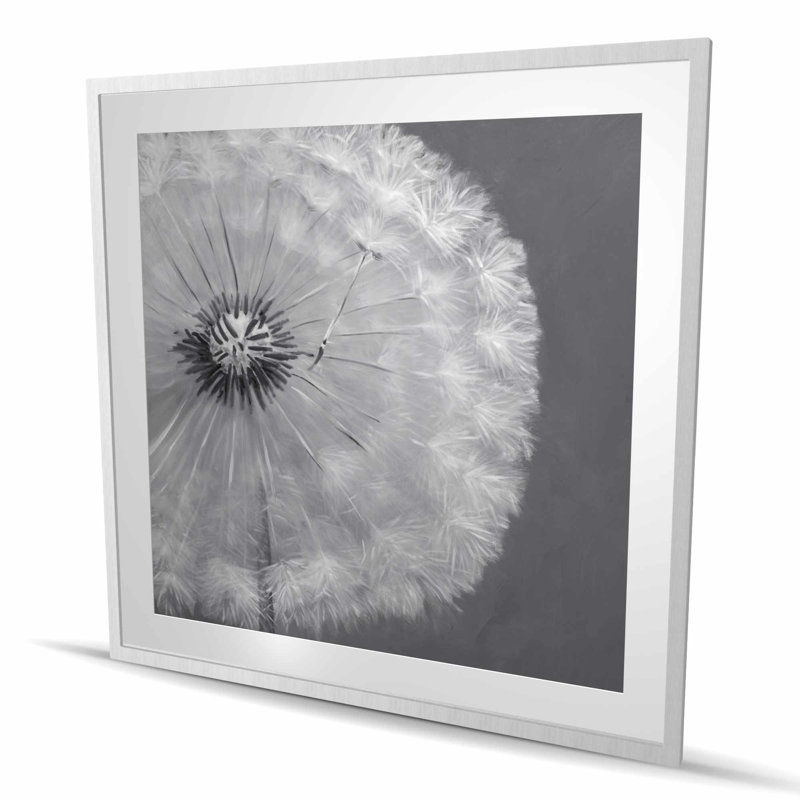 Dandelion Puff Ball - Romantic Framed Matted Print for Decor