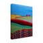 Art sur toile «Bachel Bebe Keith Farm»-104142723