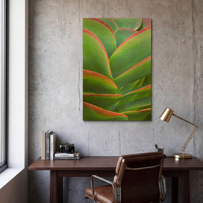 'Succulent VIII' By Dennis Frates Gold Metal Wall Art, 12" x 16", 24 po x 36 po
