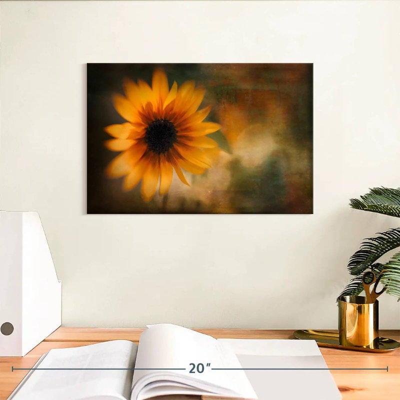 Tournesol Harnek, H 8 po x l 12 po