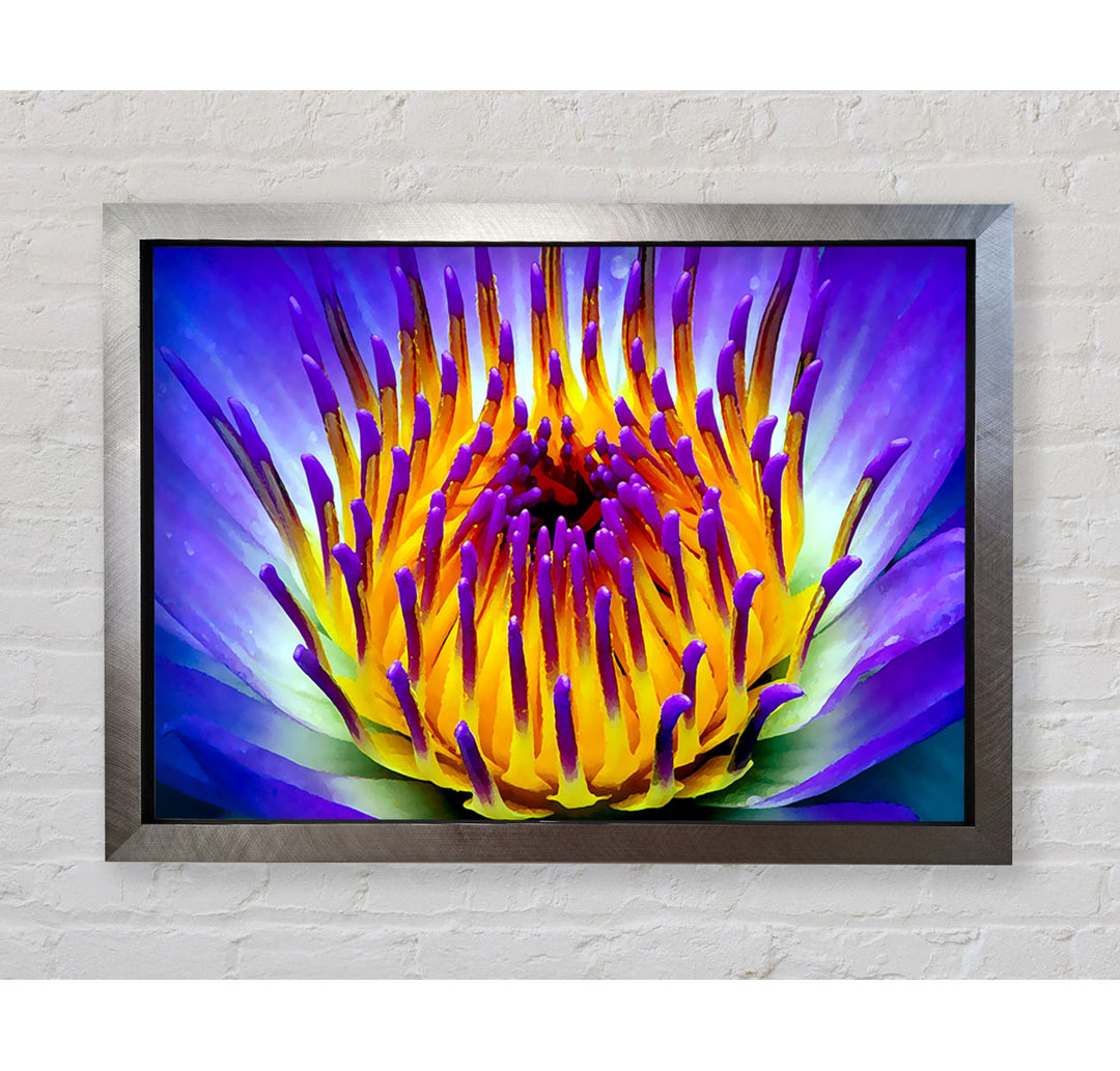 Gerahmtes Leinwandbild Vibrant Purple Water Lily