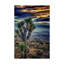 « joshua tree coucher de soleil », reproduction de photo sur toile tendue-30356069