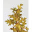 Feuilles de chêne artificielles avec glands 28 po