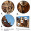 Keerthi chameau désert Wanderer II - impression-481854297-481560384