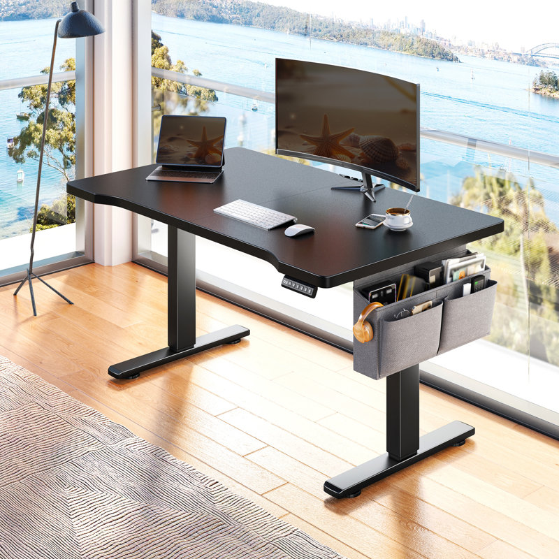 Electric Height Adjustable Standing Desk With Storage, Home Office Computer Desk With Led Lights, Black, Black