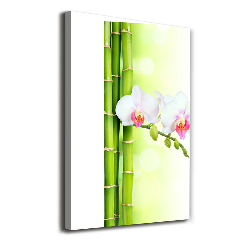 Orchid And Bamboo - Wrapped Canvas Print