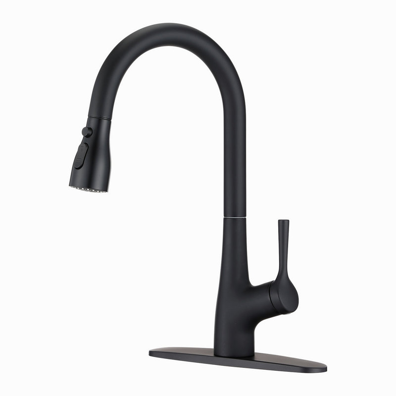 Robinet d'évier de cuisine à poignée simple, Noir mat