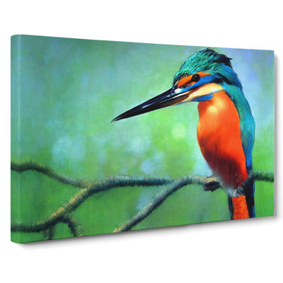 Great Kingfisher Bird - Wrapped Canvas Print
