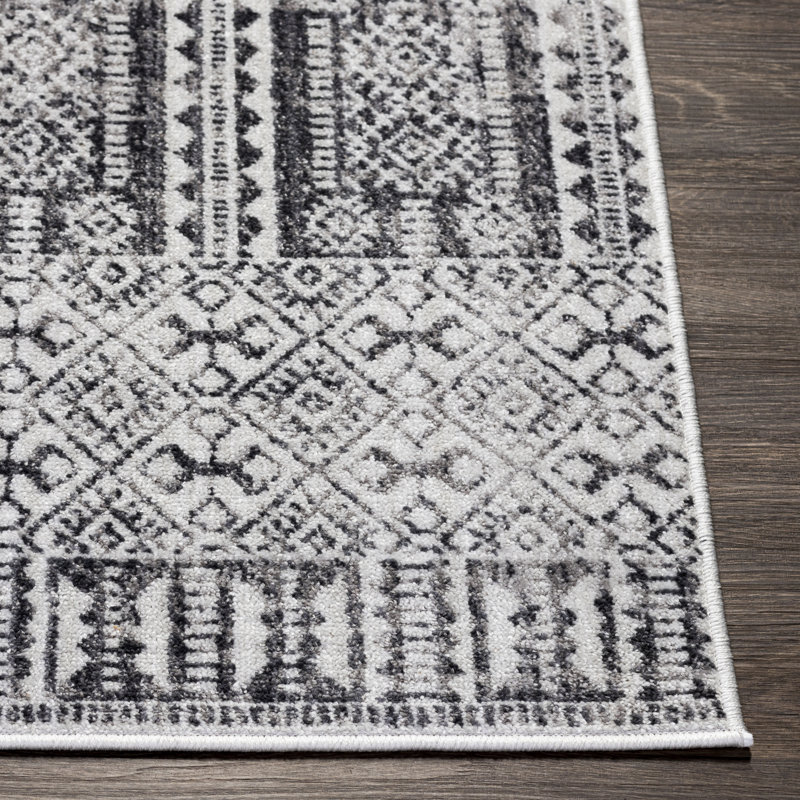 Aavyn Southwestern Indoor Rug, Rectangle 5'3" x 7'