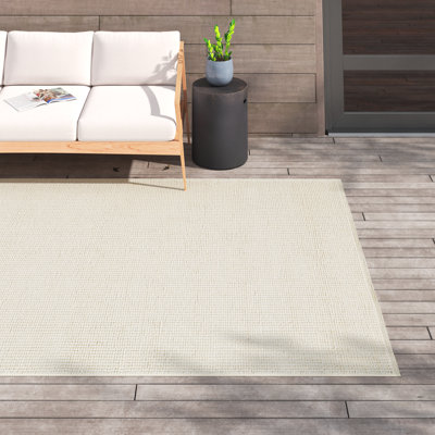 Indoor / Outdoor Rug