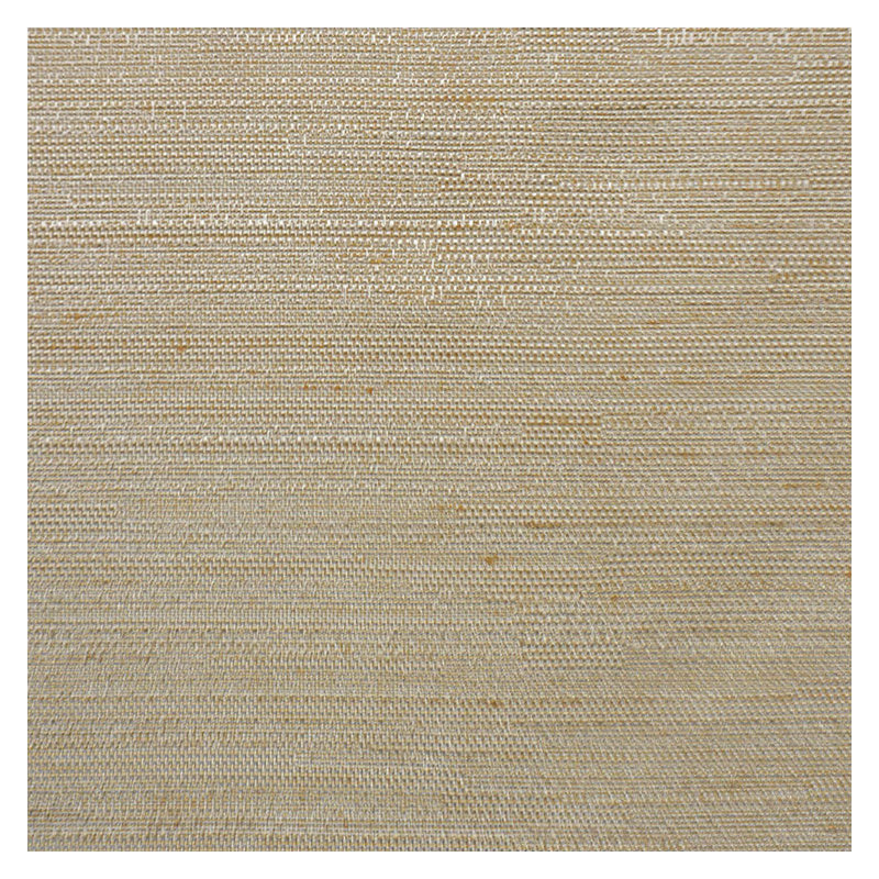 Tissu final, Champagne