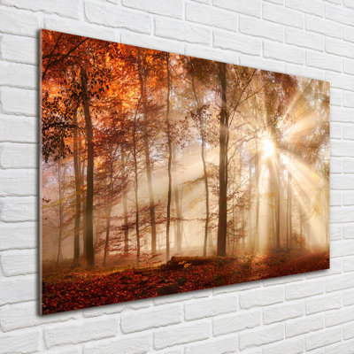 Fog In The Autumn Forest - No Frame Print on Glass