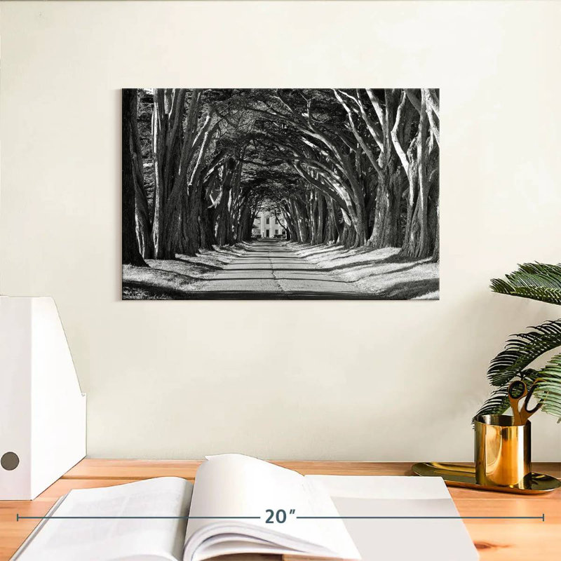 Harnek Driveway Tree Canopy BW, 8" H x 12" W
