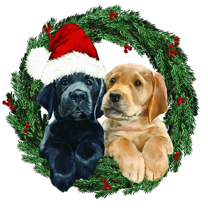 «Puppies Wreath Santa», reproduction sur toile tendue, H 12 po x l 12 po