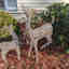 Customer photo 2 of 3